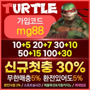 메이저놀이터 터틀